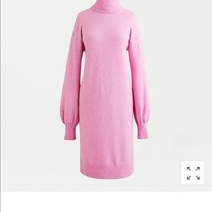 COPY - J.CREW Turtleneck sweater dress